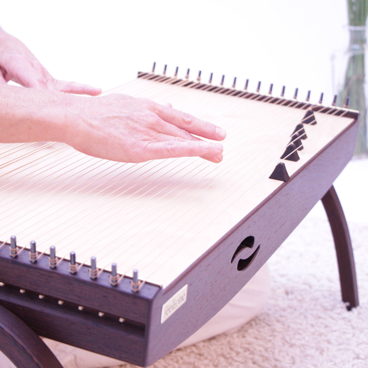 Monochord Ebony & Ivory, Anwendung