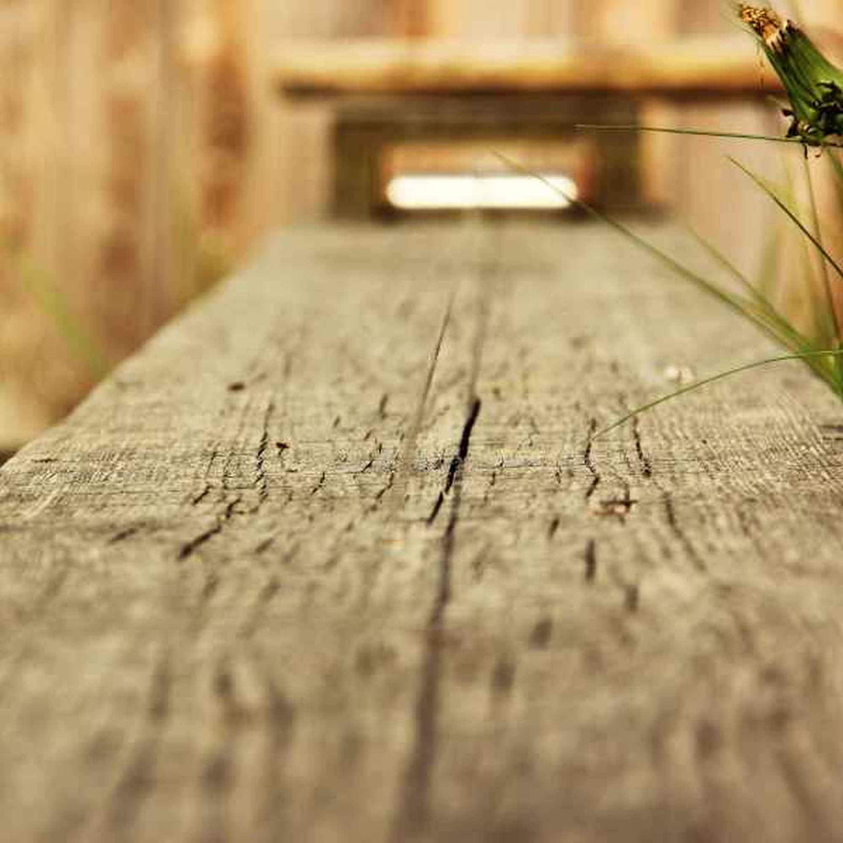Outdoor Tanzsaite